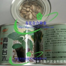 蔬菜种子 日本砧木种子：青藤台木（黄瓜嫁接）600粒罐装