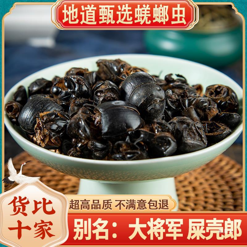蜣螂100g克 野山屎壳 圣甲虫 大将军 清水蜣螂虫