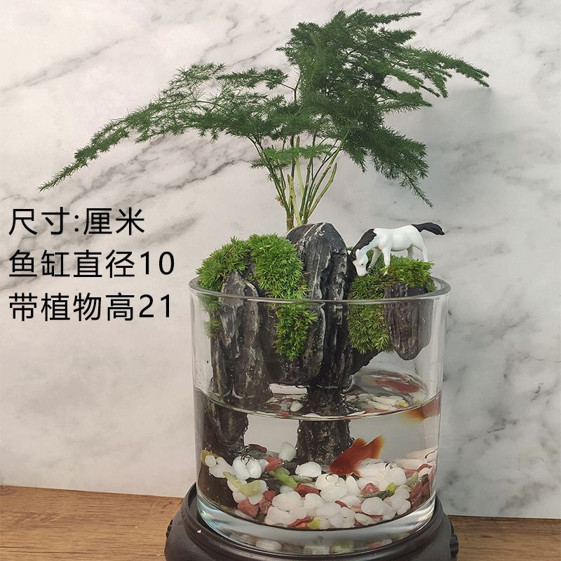 悬空式苔藓微景观盆景植物室内绿植盆栽办公桌水培生态瓶鱼缸摆件