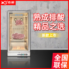 佰鲜厂家定制小型干湿式牛肉牛排商用熟成柜排酸柜冷藏保鲜展示柜