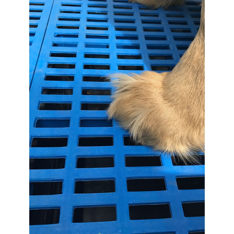 狗笼子底网漏粪板狗笼垫板狗狗脚垫板防水尿塑料加厚网格垫易清洗