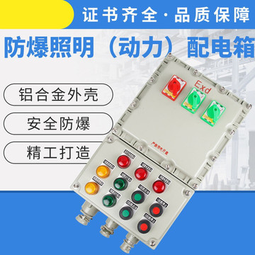 %现做适用箱bxmd照明动力箱仪表控制箱按钮箱接线箱防爆控制柜定
