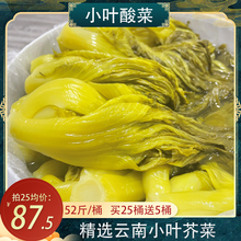 52斤酸菜鱼整颗整箱桶装的老坛酸菜商用广东潮汕芥菜泡菜