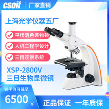 CSOIF 生物显微镜 无限远平场消色差物镜 大视野目镜 XSP-2800