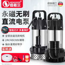 高扬程直流潜水泵12V24V48V60V伏家用电瓶车抽水泵农用灌溉抽水.