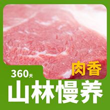 黑猪肉农家散养土猪带皮五花肉前后腿肉梅花肉板油肋排骨跨境代发