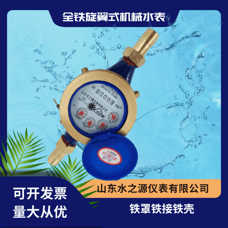 Water Source Dn15-dn40 Rotating Vane Type Water Meter Mechanical Water Meter Household Tap Water Meter LXL-15E