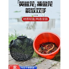 Eel cage with inverted beard mouth catching fish黄鳝笼子1跨