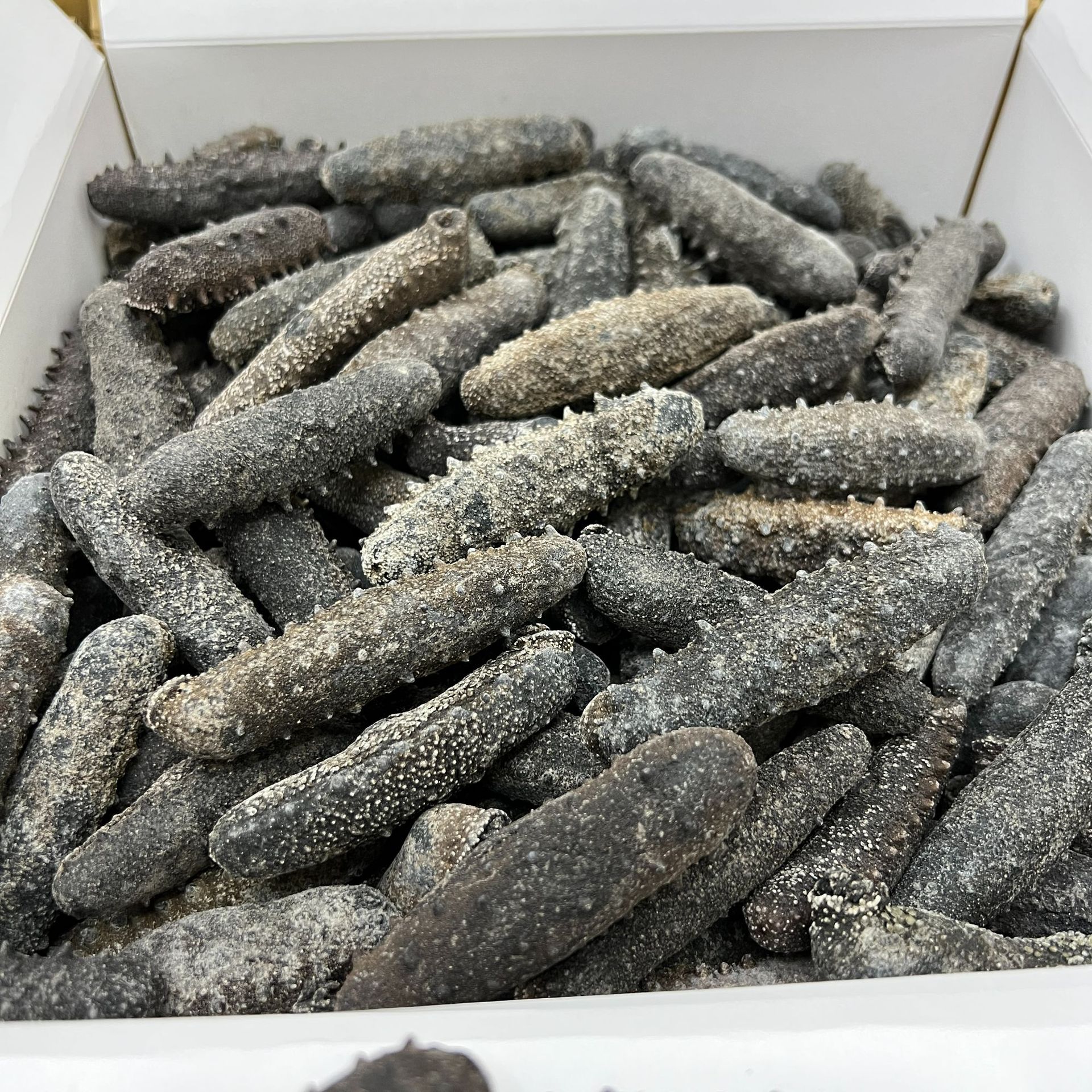 日本北海道天然野生关西参海参干货直销纯淡干辽刺参20-300头