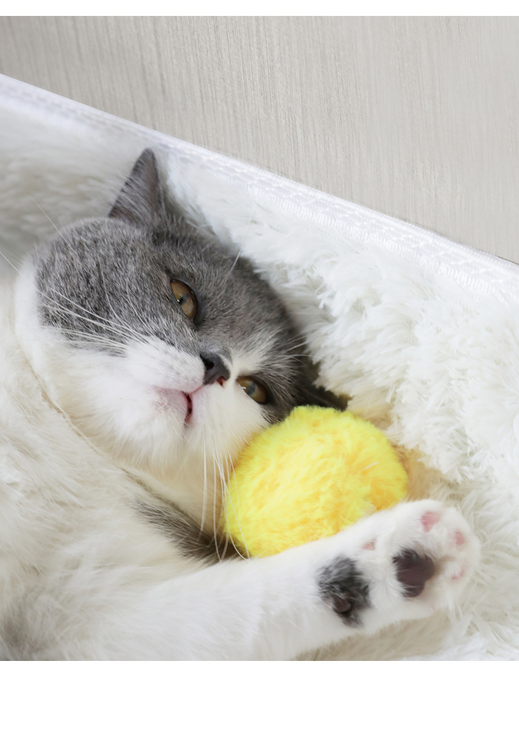 猫玩具发声叫叫球猫薄荷逗猫球小鸟叫声磨牙耐咬自嗨神器宠物用品