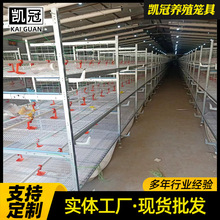 畜牧框架肉鸡笼子肉鸡饲养用H型框架笼具高锌丝焊接肉鸡养殖设备