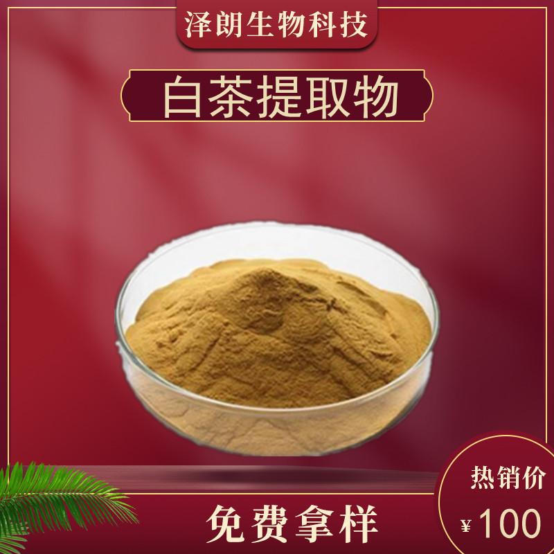 白茶提取物 茶叶提取物棕黄色粉末 比例提取 大量现货 量大从优