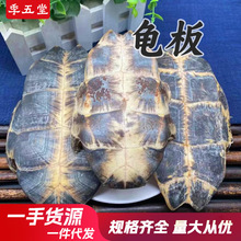 汉龟板龟甲中药材批发现货规格齐全选装无硫乌龟壳一件代发
