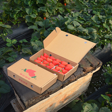 草莓盒子包装盒快递纸盒带托水果打包震可透明礼盒