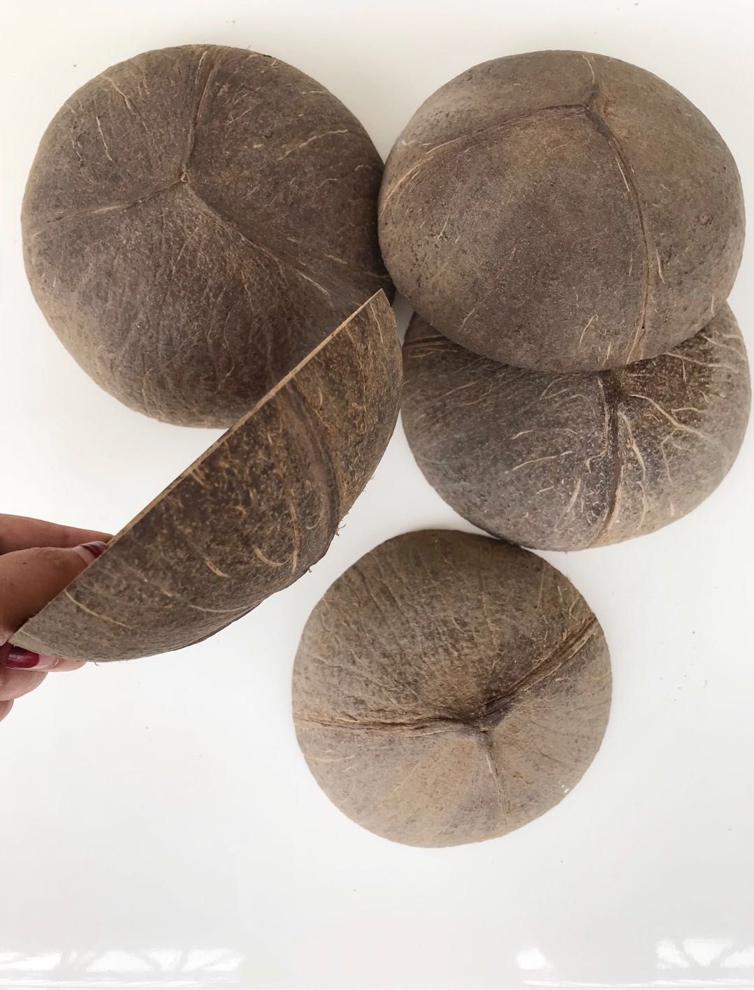 椰子壳老椰壳盖子椰壳片粗糙面椰壳