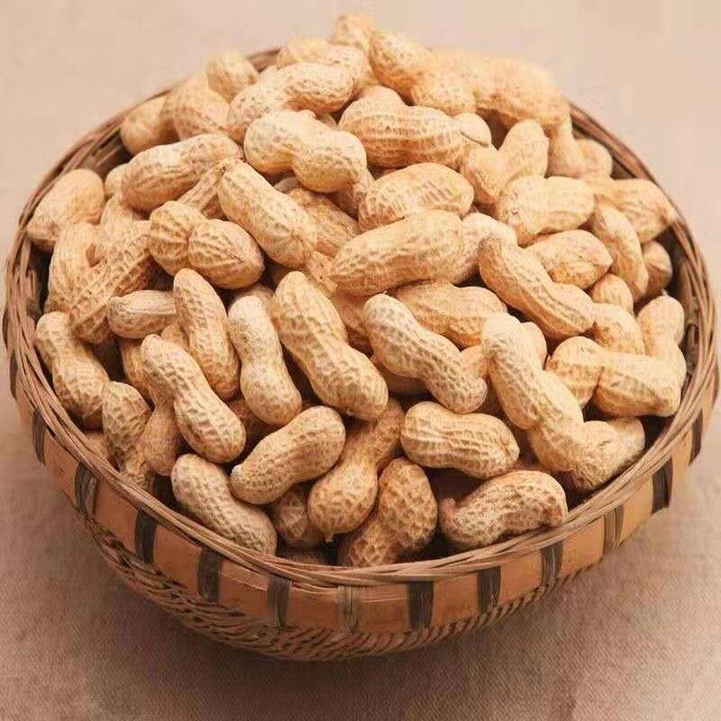 原味炒熟花生铁锅炒花生带壳生花生粉皮花生米