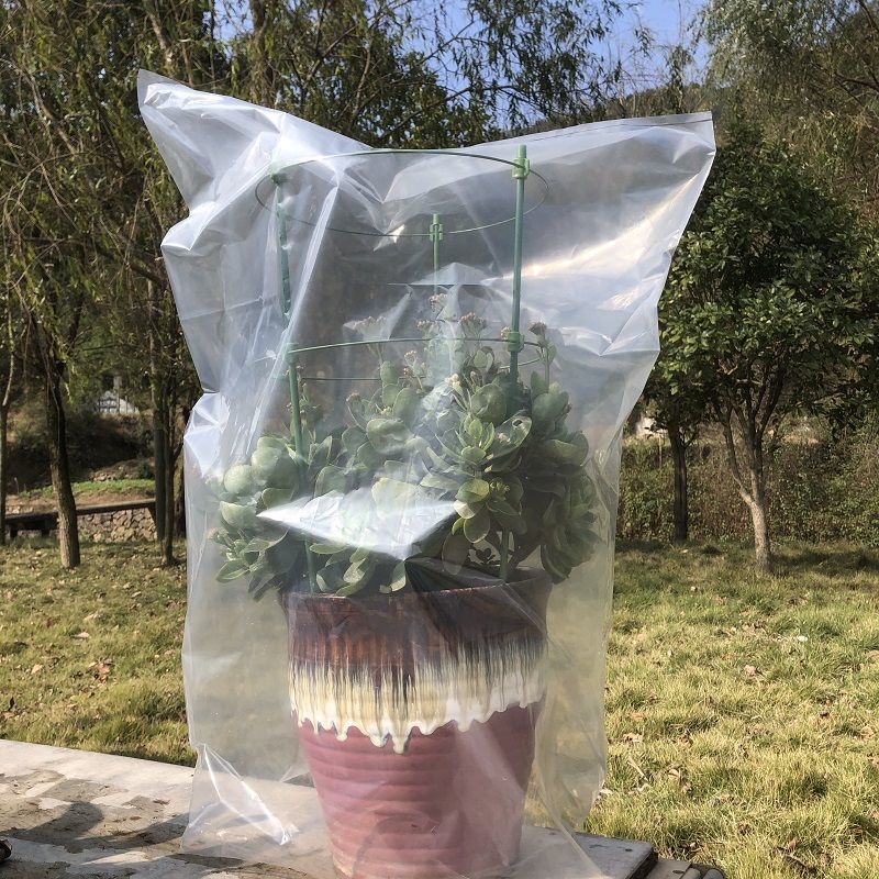果树防冻保温膜防寒植物过冬防冻塑料布保温袋冬季花卉盆栽保温罩