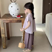 2024夏季新品  韩版童装  女童短袖棉布衬衫  宝宝宽版上衣