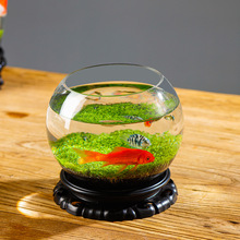 水草缸生态鱼瓶鱼缸玻璃瓶水培植物水草种子四季造景水草泥缸