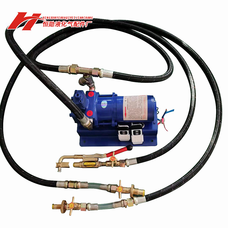 不锈钢12伏导气泵 微型气泵12v倒气泵 小型液化气充装导气泵现货