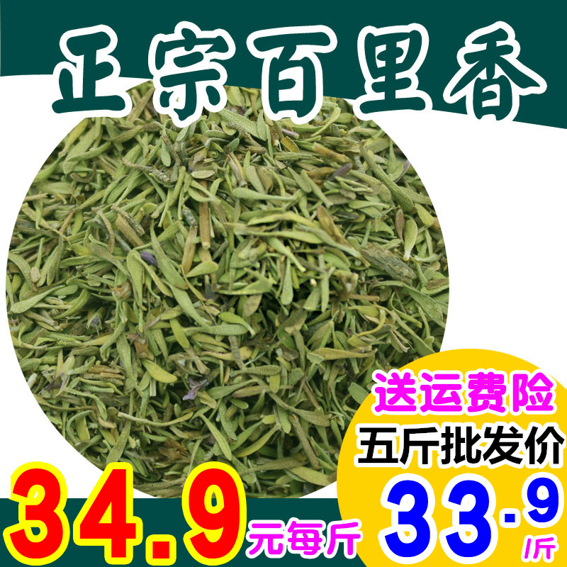 新纯真正百里香调料5thyme干麝香草什香草射食用香草粉叶西餐香料