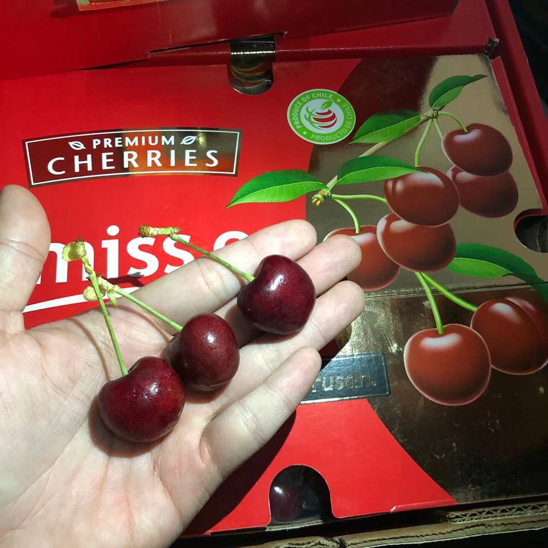 广州江南市场发货智利进口车厘子5斤装sjd 双勾5斤,顺丰空运包邮