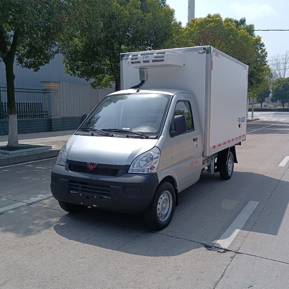 五菱荣光厢式冷藏车2米5冷箱速冻食品学生牛奶市区配送冷藏车