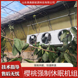 厂家大棚空气能热风机 樱桃休眠设备机组 温室供暖用空气源热泵