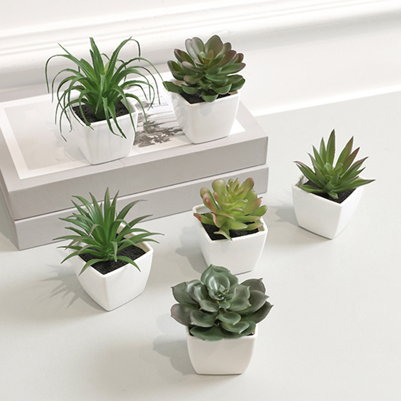 6pcs home decoration, mini evergreen artificial succulent跨