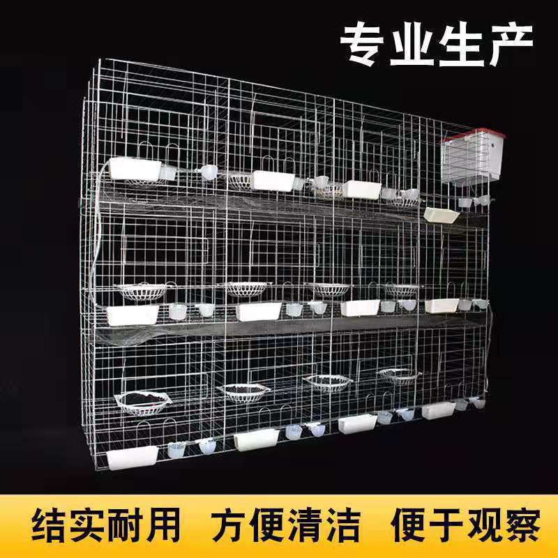 包邮鸽子笼养殖笼养鸽笼子16位肉种鸽繁殖笼12位配对笼家用信鸽笼
