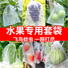 草莓套袋袋番茄网袋种植葡萄蔬菜无花果草莓石榴桃子三月李