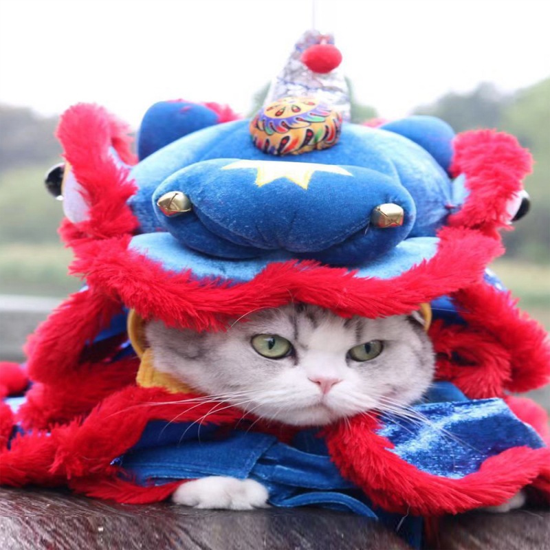 猫咪虎年衣服宠物拜年服舞狮猫衣服宠物新年衣服舞狮子狗猫咪醒狮