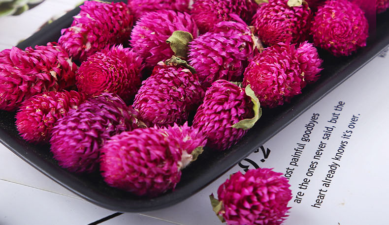 中亳康业 批发云南千日红干花新货散装500g千日紫 花草茶大货供应