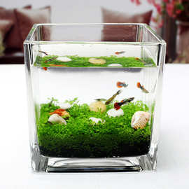 金鱼缸小型玻璃客厅家用办公室造景生态圆形风水招财迷你小鱼缸