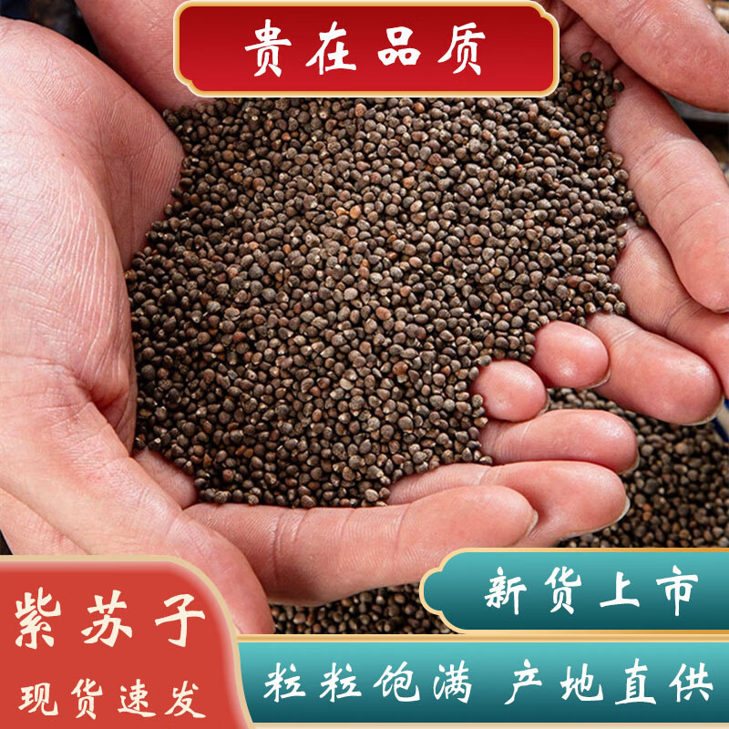 紫苏子中药材500克新货生紫苏子东北紫苏籽颗粒饱满紫苏籽油黑苏