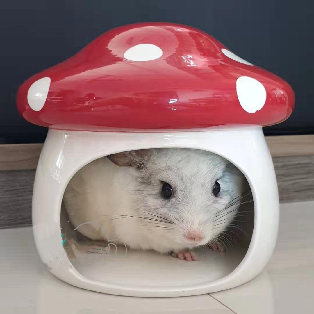 蘑菇瓷窝大号瓷窝土拨鼠瓷窝宠物窝创意瓷窝豚鼠瓷窝黑尾土拨鼠