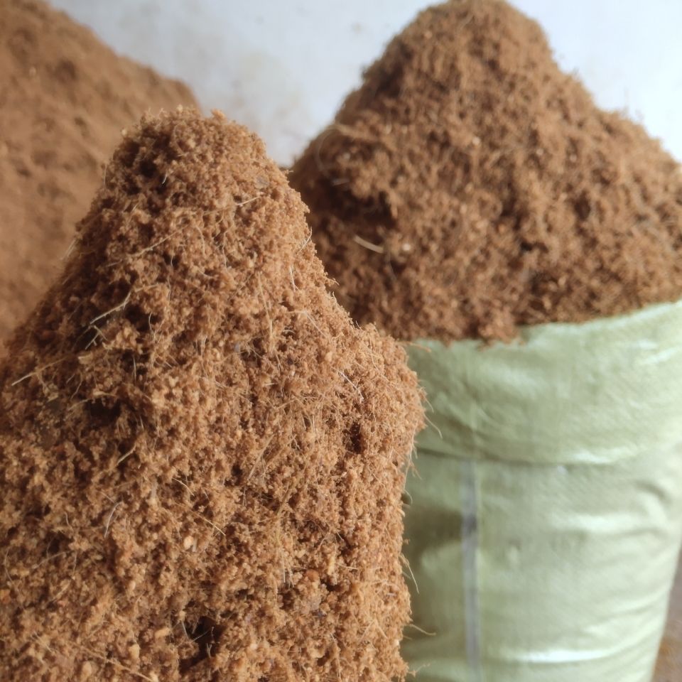 商丘绿化苗-商丘绿化苗厂家,品牌,图片,热帖-阿里巴巴