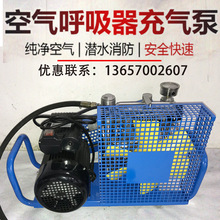 潜水气瓶消防空气呼吸器充气泵30MPa高压呼吸空气压缩机打气机