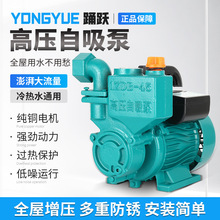 家用小型220V漩涡式高压自吸泵水井高吸程抽水机自来水管道增压泵