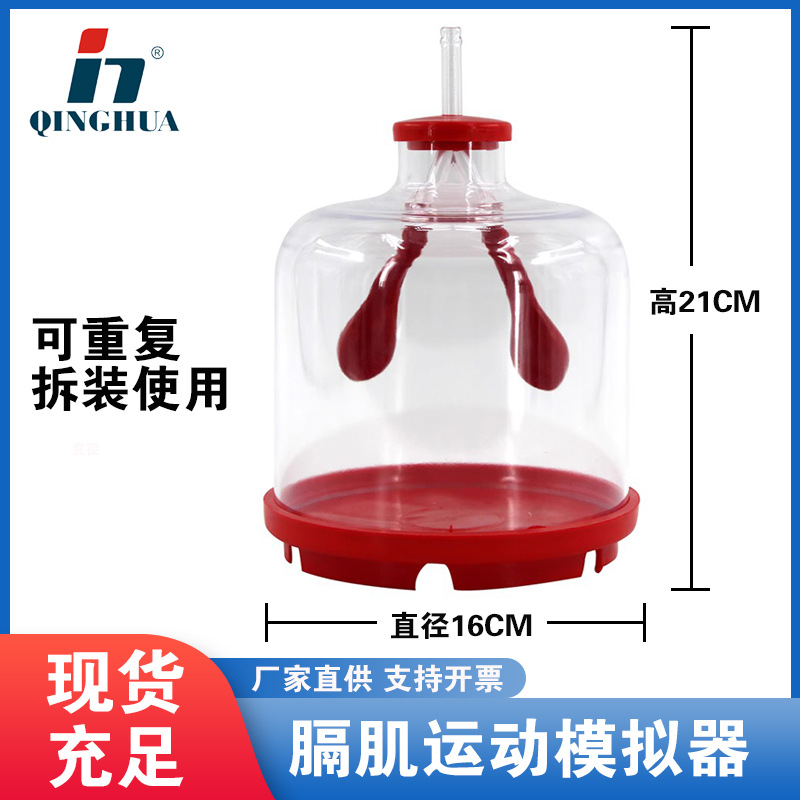 Lung Respiratory Model Diaphragm Motion Simulation Demonstrator Senior High School Entrance Examination Experimental Apparatus Junior High School Science Biology Senior High School Entrance Examination Teaching Aids