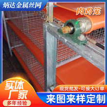 厂家供应肉鸡笼鸭笼鹅笼家禽专用加粗钢丝养殖笼
