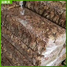 新货江西广昌茶树菇干货长条5斤装清香菇类