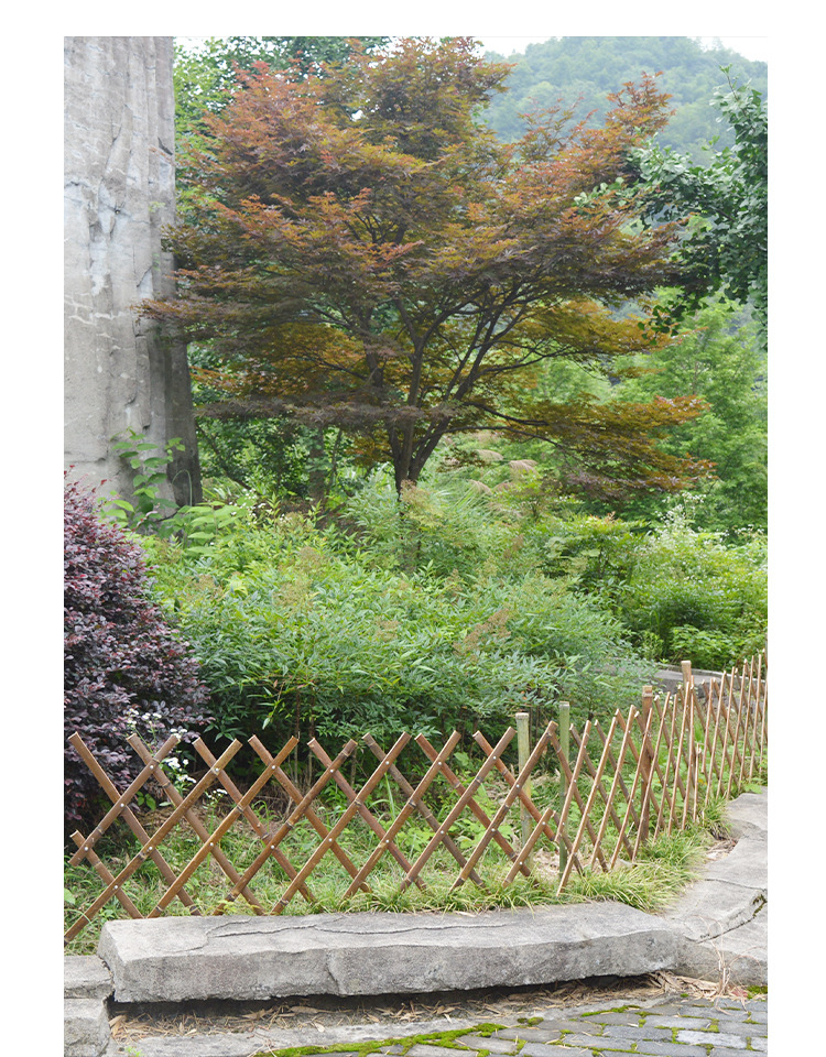 竹篱笆门菜园栅栏跳舞田园家用种菜爬藤材料围栏菜架屏风室外菜地