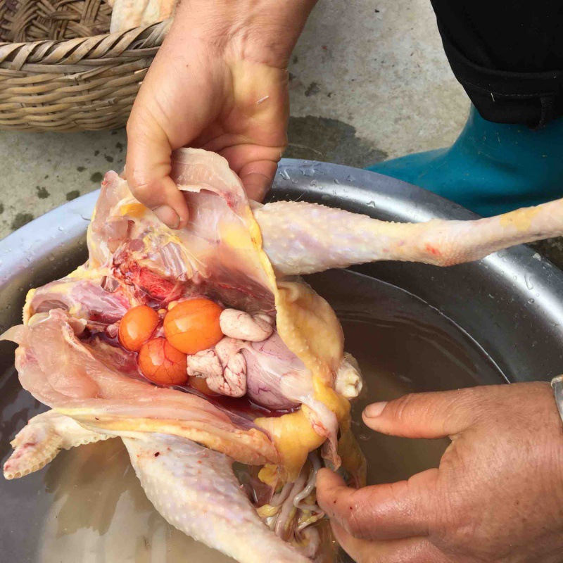 老母鸡顺丰发2只农家散养2-3年老母鸡走鸡笨鸡柴鸡笨鸡月子鸡现杀