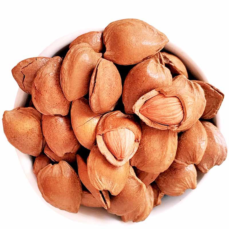 开口杏核小白带壳杏仁坚果1500g干果休闲零食南北杏非承德产批发