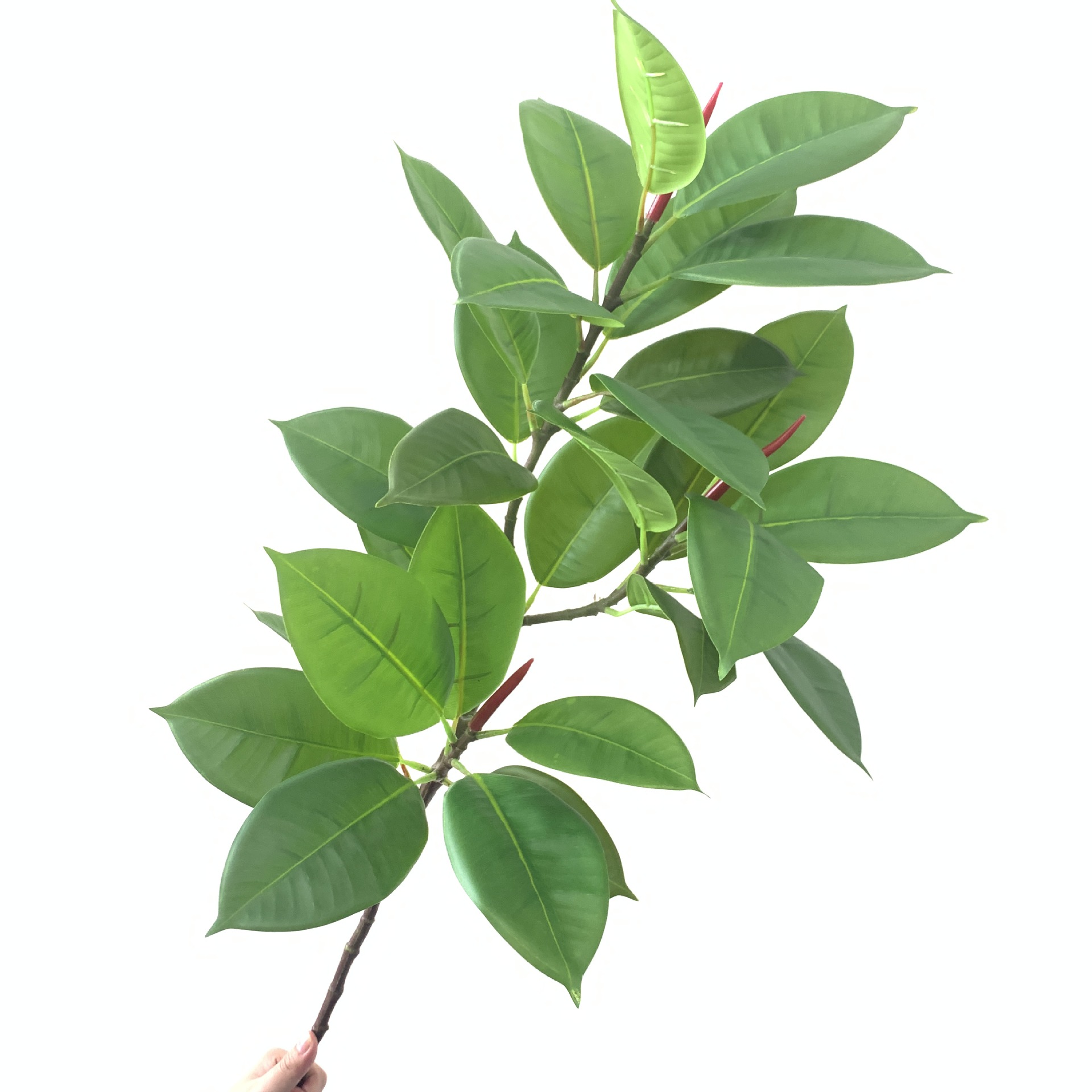 仿真橡皮树叶 黑金刚美国榕装饰橡皮树北欧假绿植盆栽摆件绿植