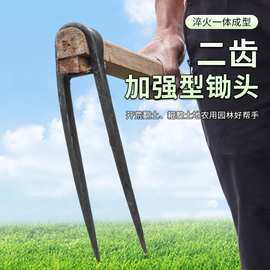 二齿锄家用全钢长把松土 开荒 种菜 多功能二齿锄头农用耙子