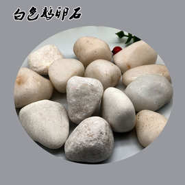 白色鹅卵石 多肉盆栽雪花白机制小石子 庭院铺路造景白色石头