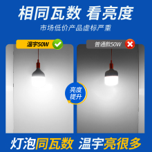 温宇led灯泡家用超亮e27螺纹螺口螺旋室内照明节能白炽乚ed球泡灯