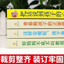 你就是孩子好的玩具樊登正面管教好老师父母教育书籍工厂一件批发